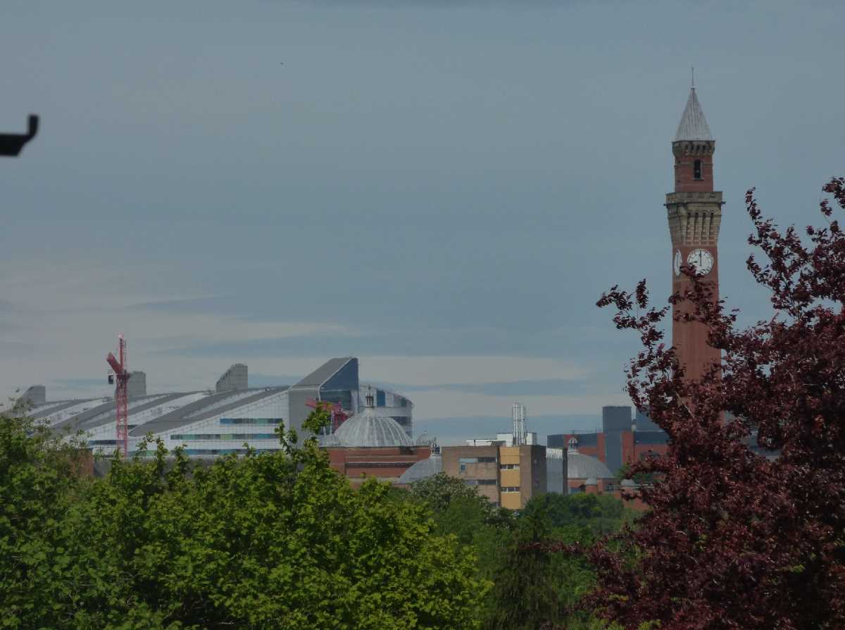 QEHB and Old Joe from Holders Lane Woods (May 2020)